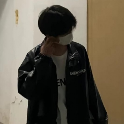 苏辰