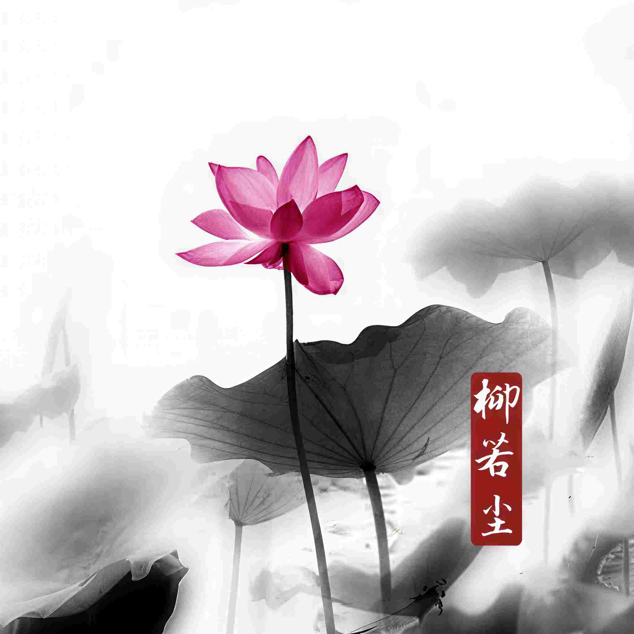 柳若尘